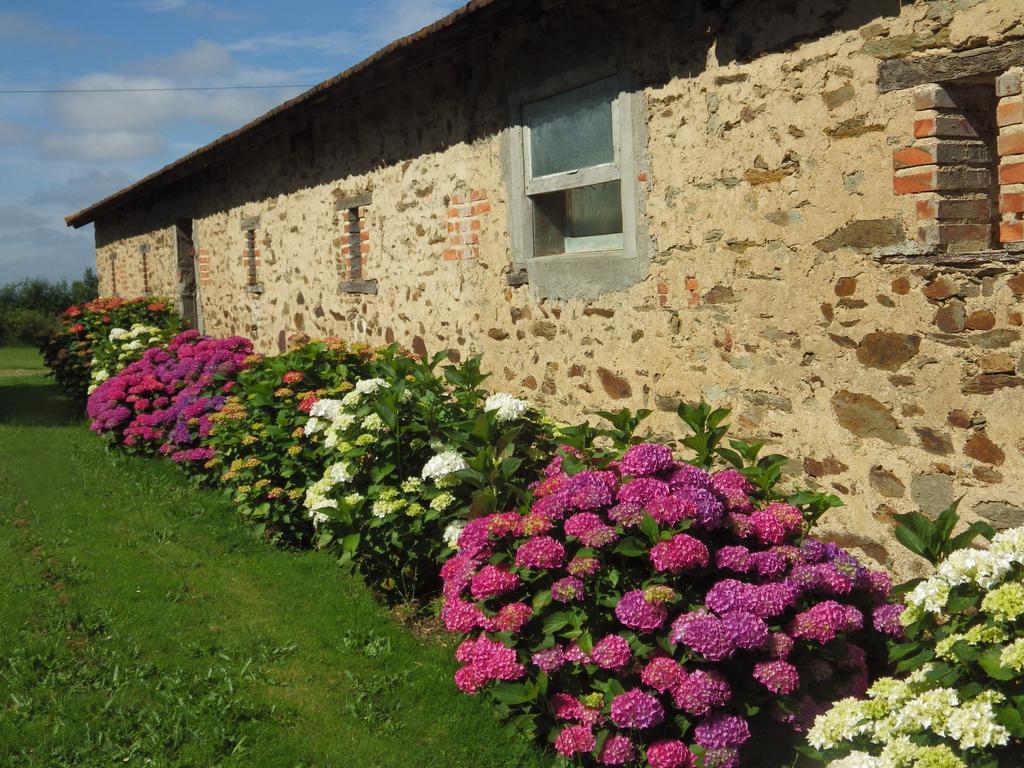 A La Haute Bouillere Bed and Breakfast Chavagnes-les-Redoux Εξωτερικό φωτογραφία